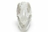 Carved Labradorite Dinosaur Skull #218490-3